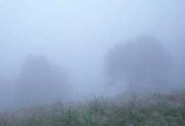 home.umk.pl Olechnicki