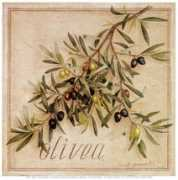 allposters.co.uk Olivea