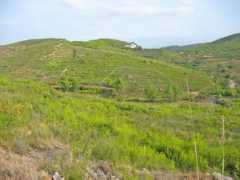 panoramio.com Olivella