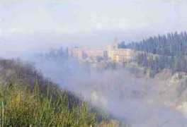paradoxplace.com Oliveto