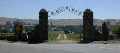 elivermore.com Olivina