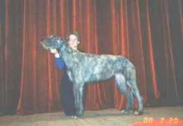 irishwolfhound.ru Oliviya
