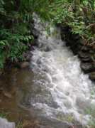 Ollan