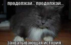 webdiscover.ru Ololosha