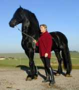 signaturefriesians.com Olrich
