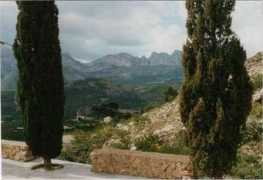 Omgeving