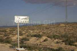 yourmiddleeast.com Omrane