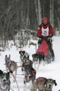 sleddogstudio.com Onac