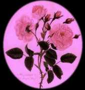 Onerose