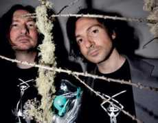 thewire.co.uk Opalio