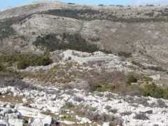 Oppidum