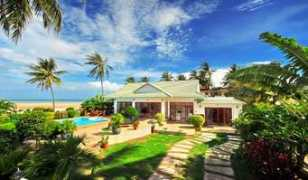 paradizo.com Orachorn