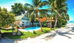 paradizo.com Orachorn