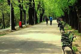 panoramio.com Oradea