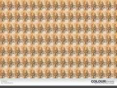 colourlovers.com Oranie