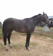 milagroyegua.com Orany