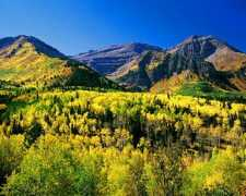 Orem