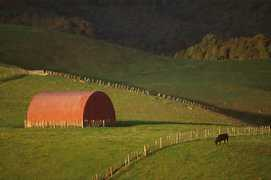 37south.com Orere