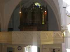 Organ