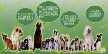 eugene-chen.com.tw Orgina