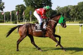 test.zavodisko.sk Orianto