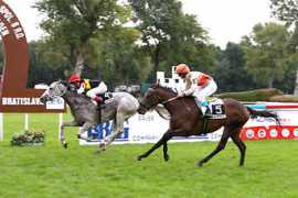 test.zavodisko.sk Orianto