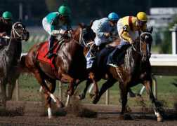photos.nj.com Ornitz