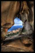 Orso