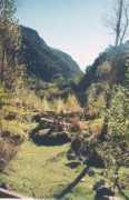 Oruk