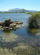 panoramio.com Orvile