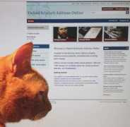 jacketflap.com Oseo