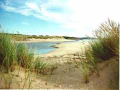 grimsholmen.com Oset