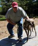 stanleypark.org Osini