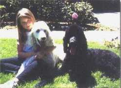 wellmannereddog.com Osmith