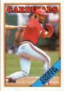 seasonspastbaseball.com Osmith
