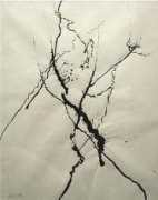virginiachristopherfineart.com Osolo