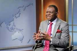 ipsnews.net Osotimehin