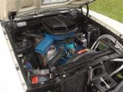 torinocobra.com Ostalecki