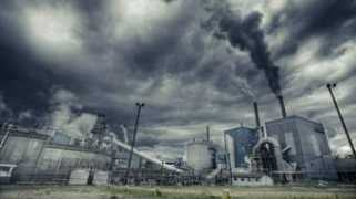 brisbanetimes.com.au Ostapovitch