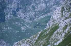 Oston