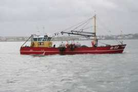 irishtrawlers.informe.com Ostrea
