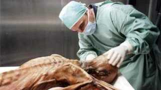 theglobeandmail.com Otzi