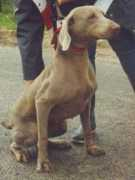 pruneau.free.fr Oxane