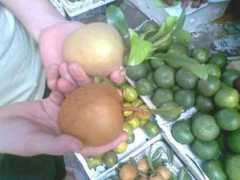 Oxit