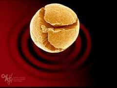 .cnrs.fr Oxyde