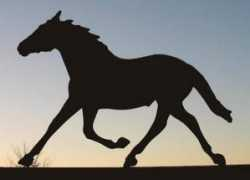 Pacer