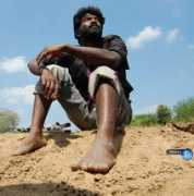 chennai365.com Pachai