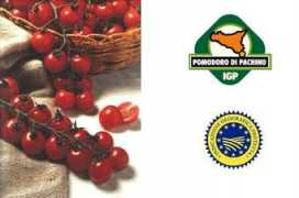 agraria.org Pachino