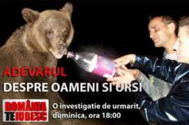 mediafax.ro Pacoste