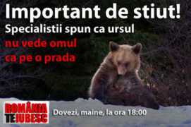 mediafax.ro Pacoste